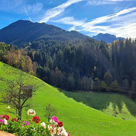 Bauernhof Altrach Aurach bei Kitzbuehel